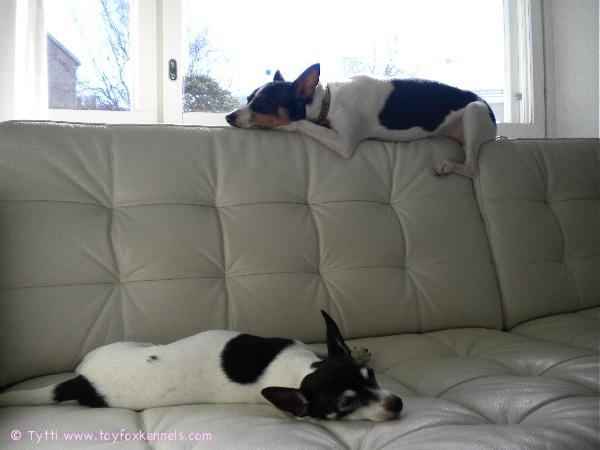 Terkkuja Penniltä ja Ompulta!