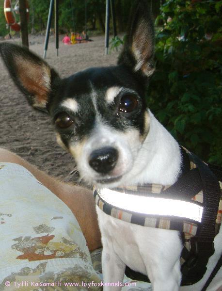 Penni at the beach checking out the sunset.
