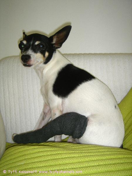 Penni after a knee surgery. 