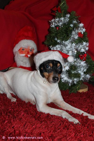 Hyvää Joulua ja Onnea vuodelle 2011
 
T: Korkiakosket