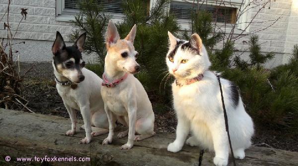 Kevätkyttääjiltä kukaan tai mikään ei jää huomaamatta ;)
