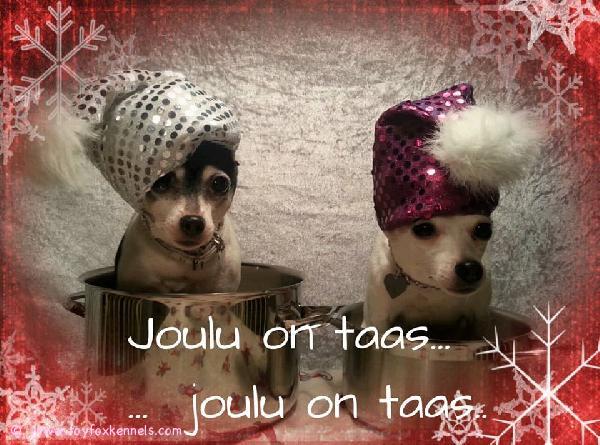 Pinnle ja Bambi toivottavat kaikille Hauskaa Joulua!