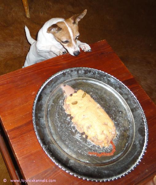 Dunkel's Maple Syrup aka Mona viettää 3-v synttäritä