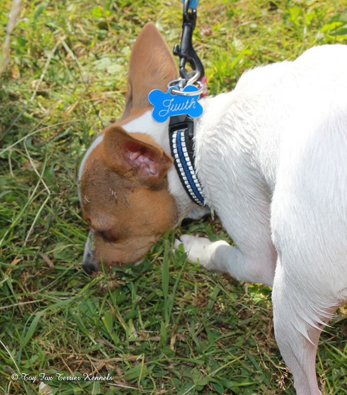 TFT Tapahtumap&auml;iv&auml; 2013