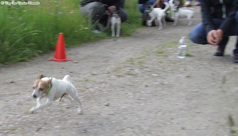 TFT-paiva-nopeusjuoksu